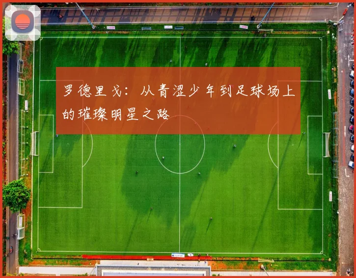 罗德里戈：从青涩少年到足球场上的璀璨明星之路