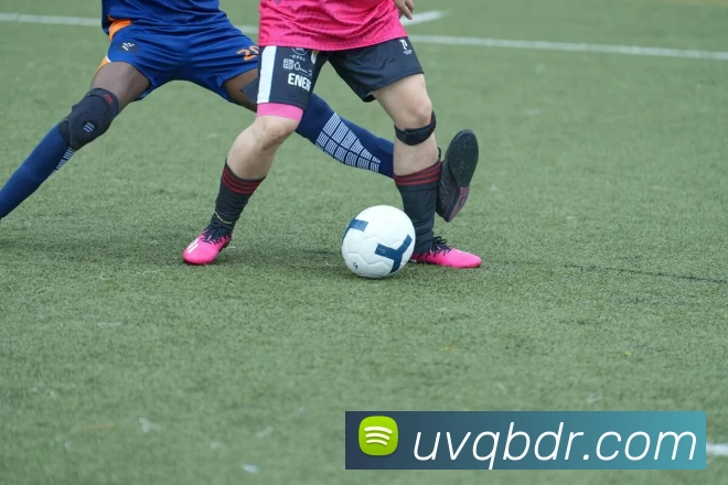 zoty中欧平台生态图